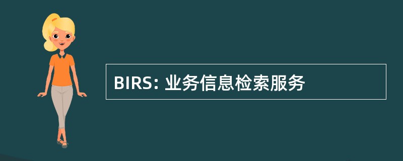 BIRS: 业务信息检索服务