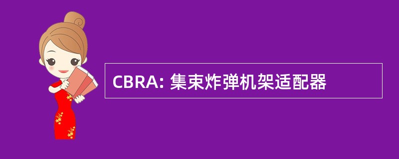 CBRA: 集束炸弹机架适配器