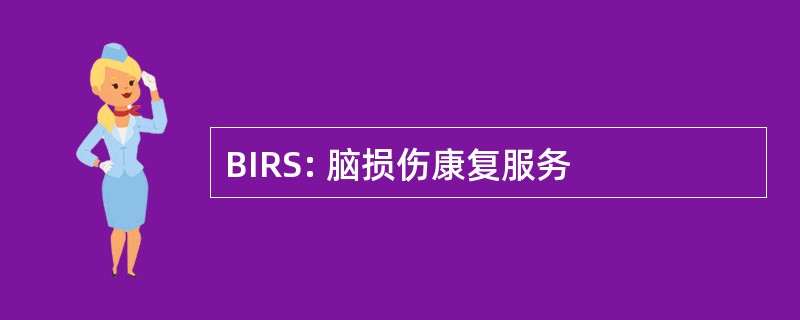 BIRS: 脑损伤康复服务