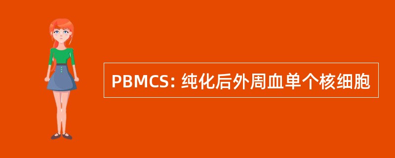 PBMCS: 纯化后外周血单个核细胞