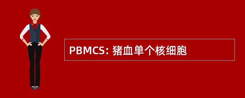 PBMCS: 猪血单个核细胞