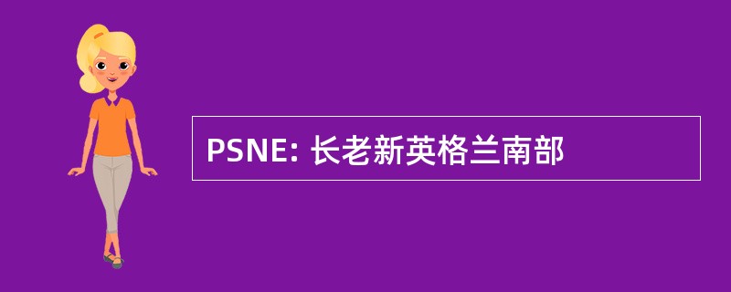 PSNE: 长老新英格兰南部