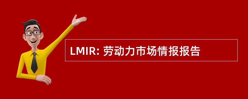 LMIR: 劳动力市场情报报告