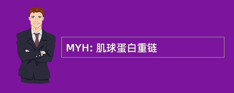 MYH: 肌球蛋白重链