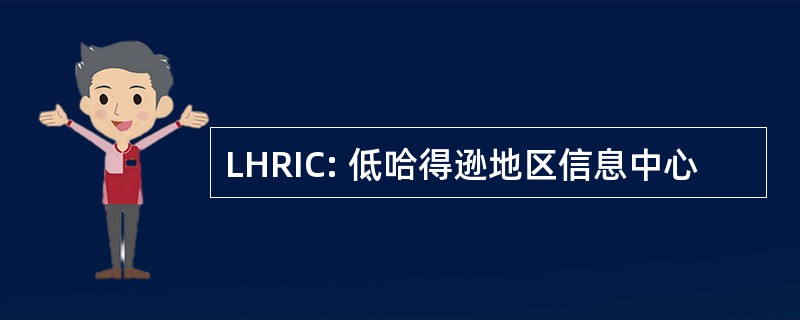 LHRIC: 低哈得逊地区信息中心