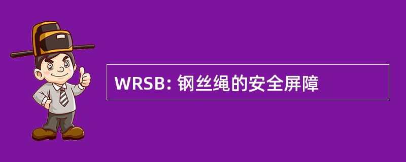 WRSB: 钢丝绳的安全屏障