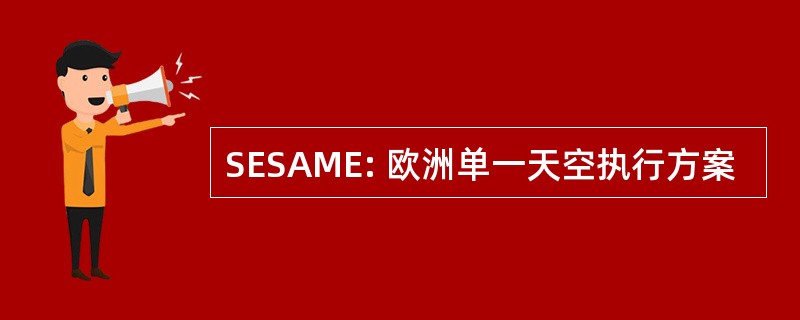 SESAME: 欧洲单一天空执行方案