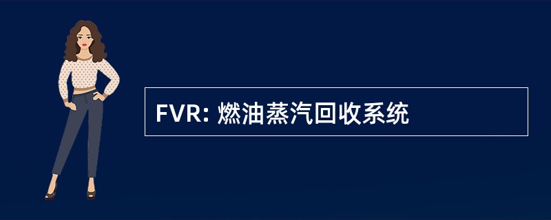 FVR: 燃油蒸汽回收系统