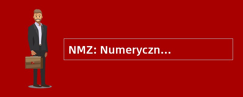 NMZ: Numerycznej Mapy Zasadniczej