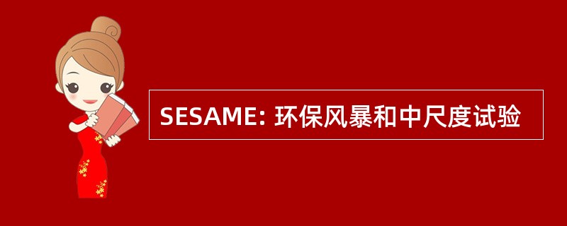 SESAME: 环保风暴和中尺度试验