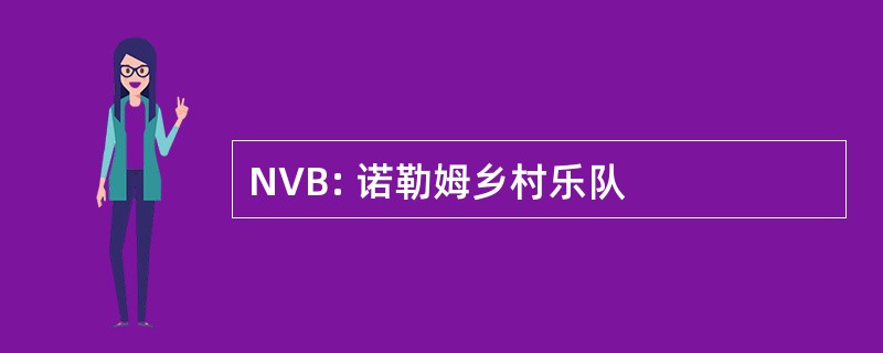 NVB: 诺勒姆乡村乐队