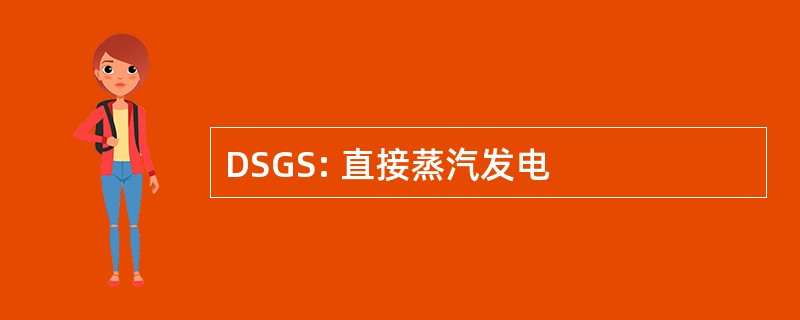 DSGS: 直接蒸汽发电