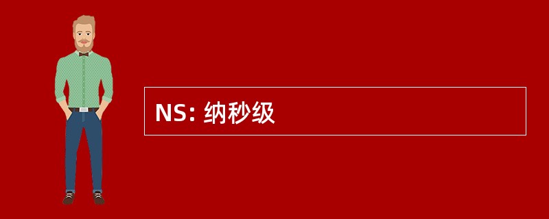 NS: 纳秒级