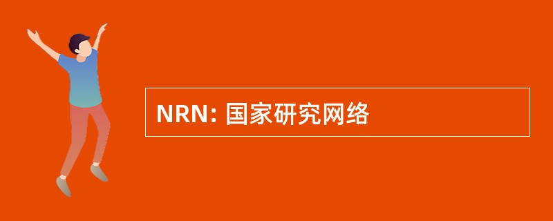 NRN: 国家研究网络