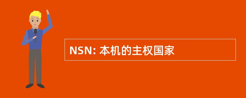 NSN: 本机的主权国家