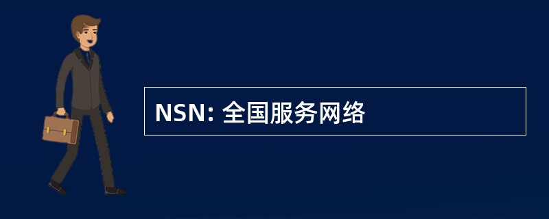 NSN: 全国服务网络