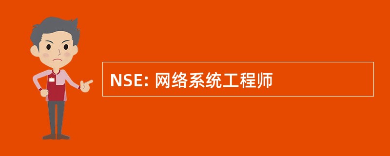 NSE: 网络系统工程师