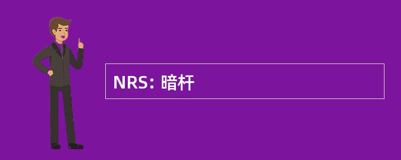 NRS: 暗杆