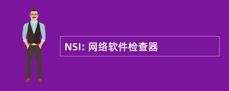 NSI: 网络软件检查器