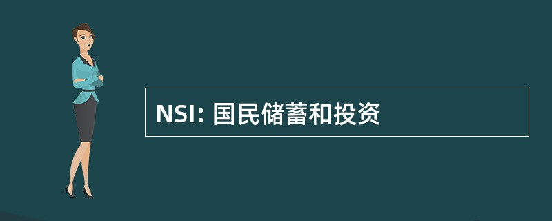 NSI: 国民储蓄和投资