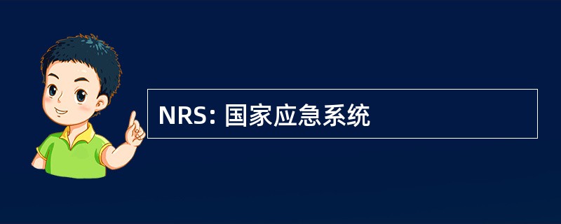 NRS: 国家应急系统