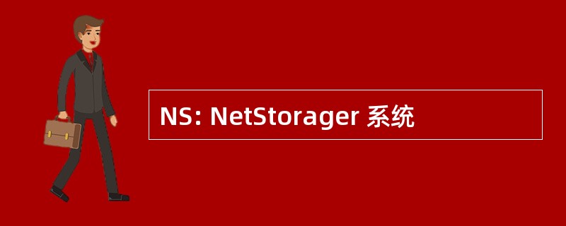 NS: NetStorager 系统