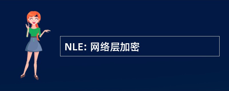 NLE: 网络层加密