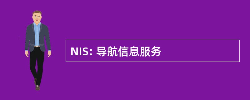 NIS: 导航信息服务