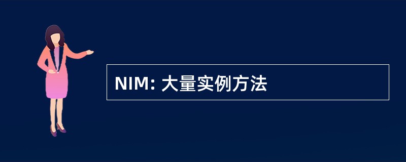 NIM: 大量实例方法