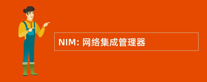 NIM: 网络集成管理器