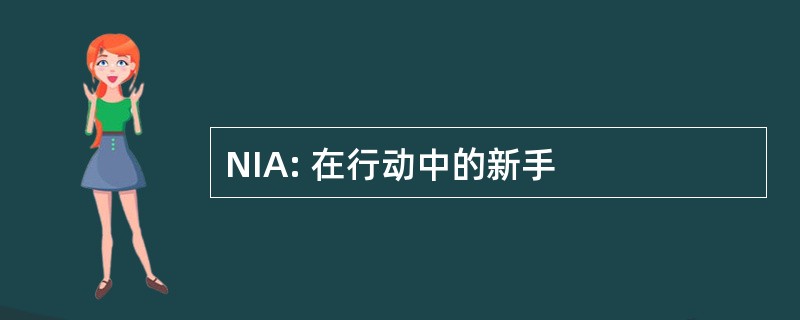 NIA: 在行动中的新手