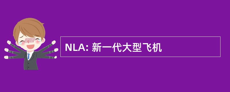 NLA: 新一代大型飞机