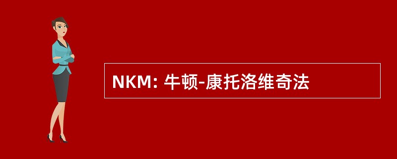 NKM: 牛顿-康托洛维奇法