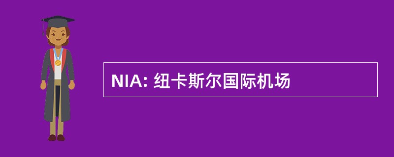 NIA: 纽卡斯尔国际机场