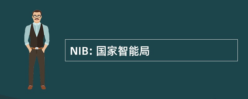 NIB: 国家智能局