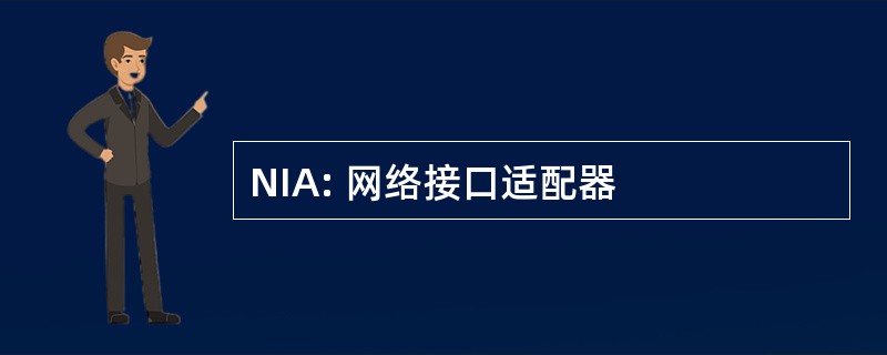 NIA: 网络接口适配器