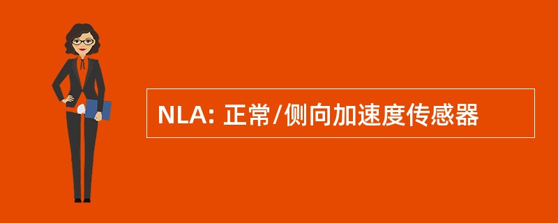 NLA: 正常/侧向加速度传感器