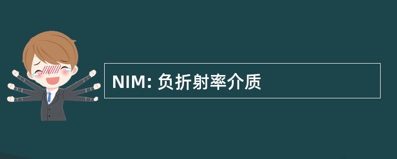 NIM: 负折射率介质