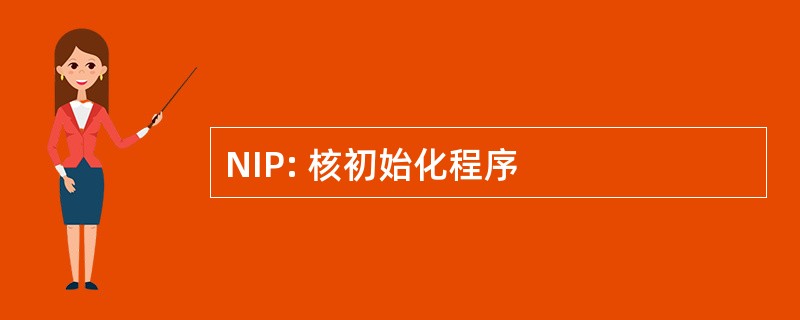 NIP: 核初始化程序