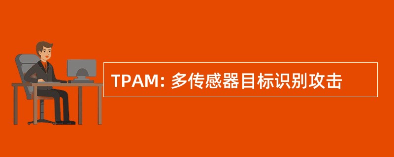 TPAM: 多传感器目标识别攻击