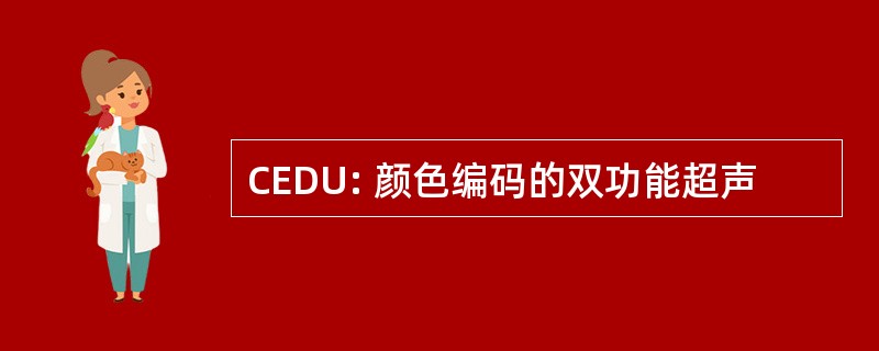 CEDU: 颜色编码的双功能超声