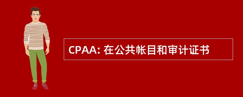 CPAA: 在公共帐目和审计证书