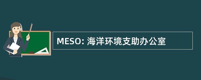 MESO: 海洋环境支助办公室