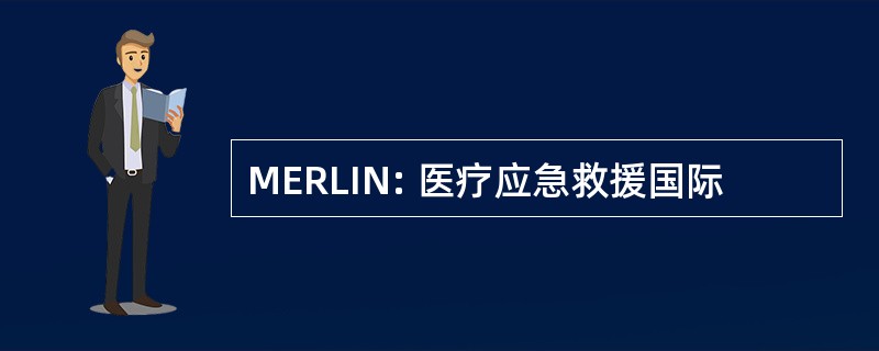 MERLIN: 医疗应急救援国际