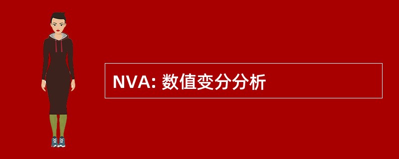 NVA: 数值变分分析