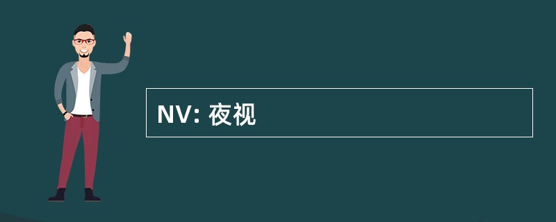 NV: 夜视