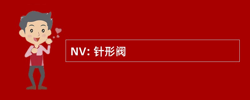 NV: 针形阀