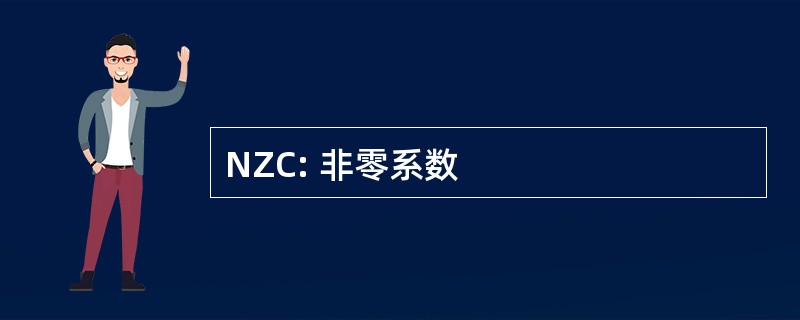 NZC: 非零系数