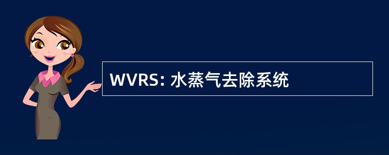 WVRS: 水蒸气去除系统