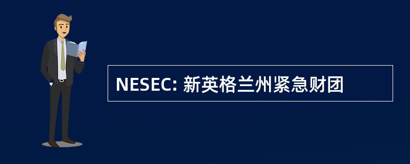 NESEC: 新英格兰州紧急财团